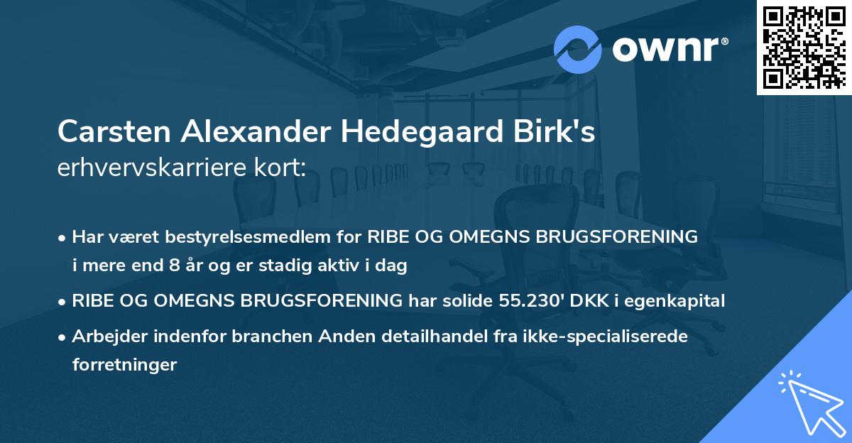 Carsten Alexander Hedegaard Birk's erhvervskarriere kort