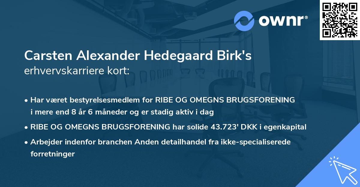 Carsten Alexander Hedegaard Birk's erhvervskarriere kort