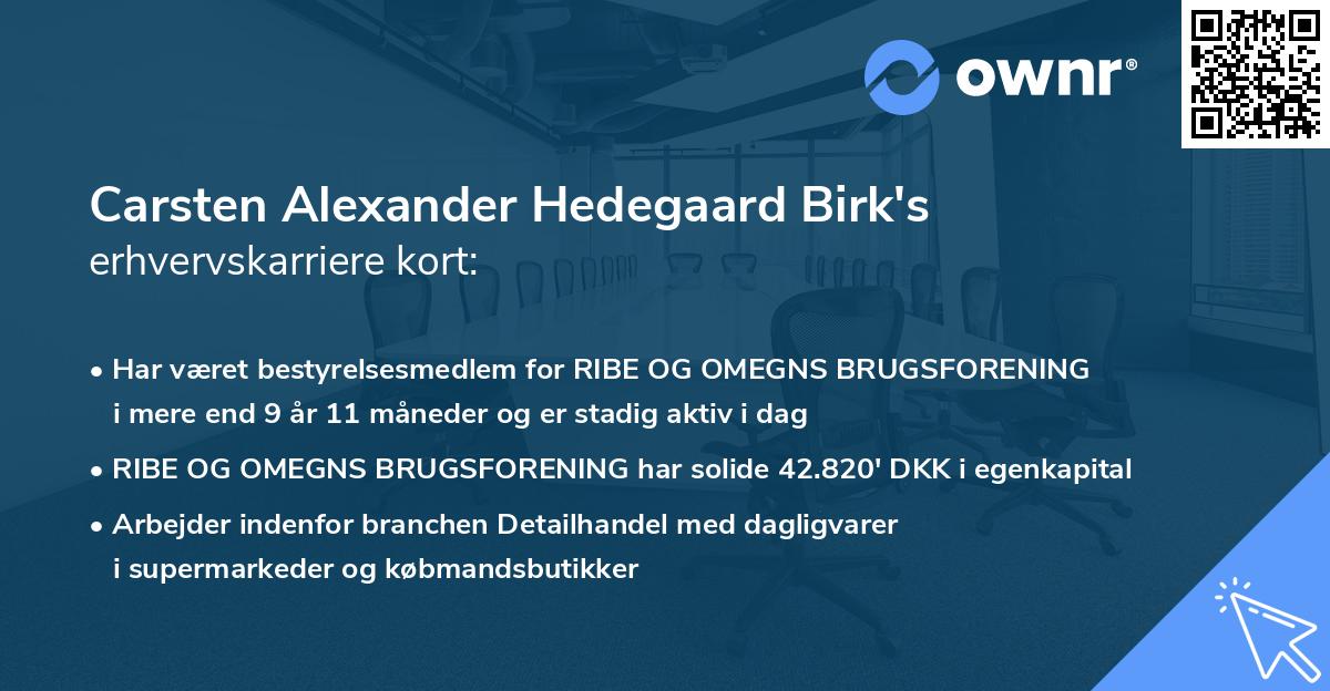 Carsten Alexander Hedegaard Birk's erhvervskarriere kort