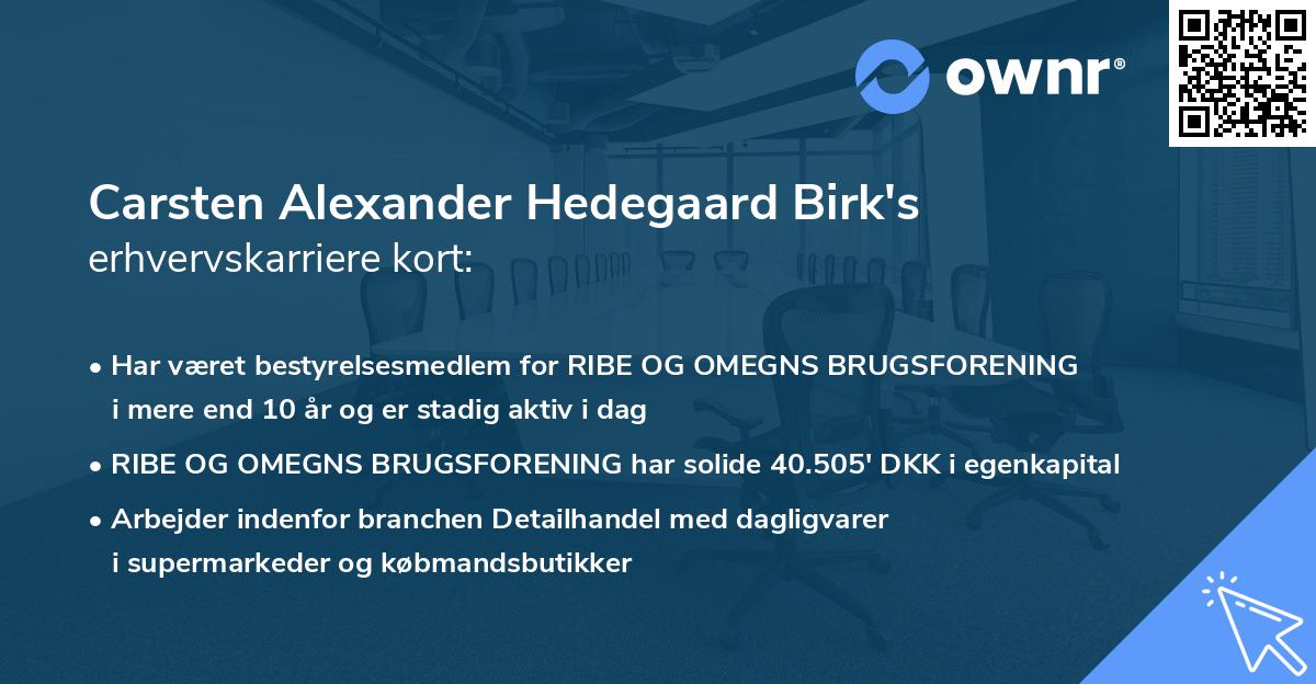 Carsten Alexander Hedegaard Birk's erhvervskarriere kort