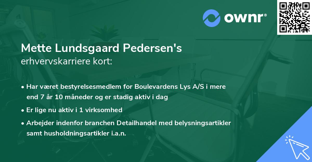 Mette Lundsgaard Pedersen's erhvervskarriere kort
