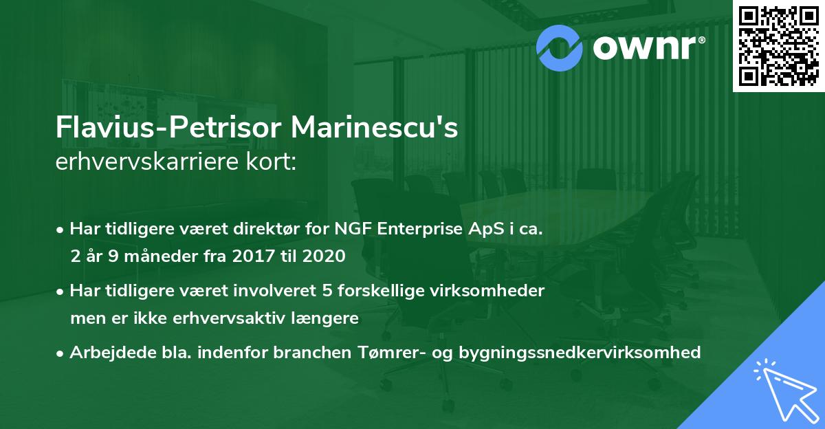 Flavius-Petrisor Marinescu's erhvervskarriere kort