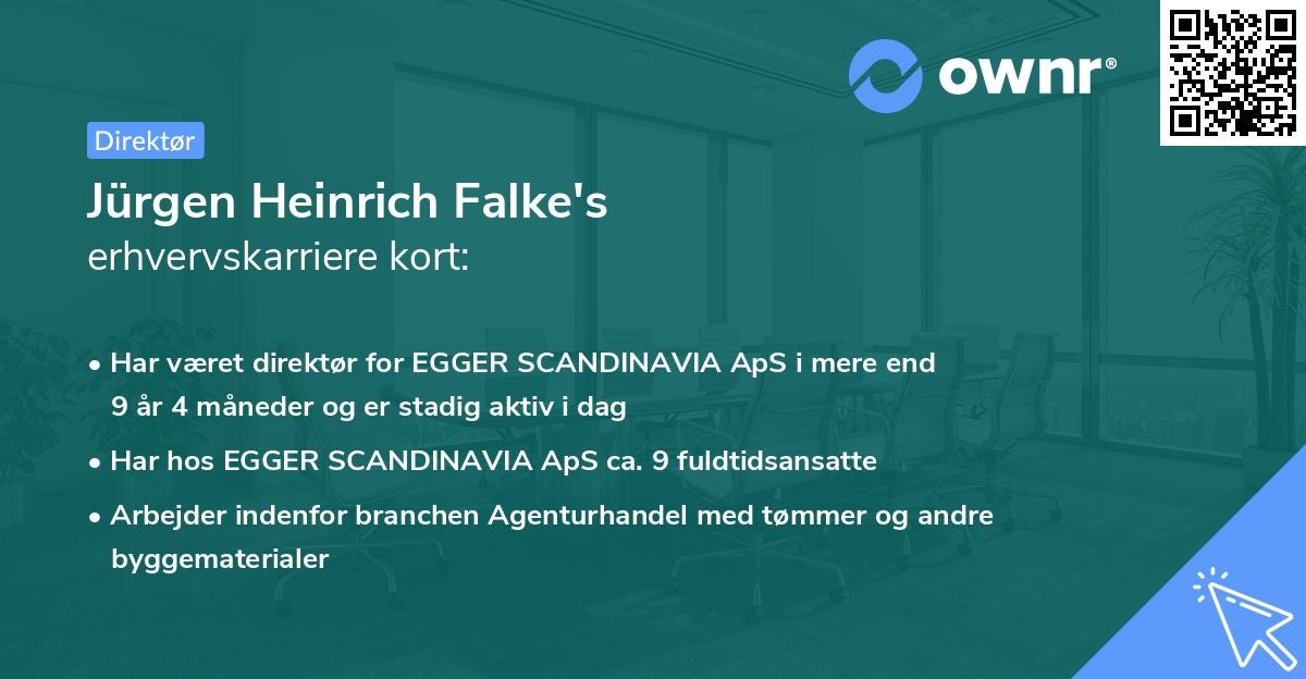 Jürgen Heinrich Falke's erhvervskarriere kort