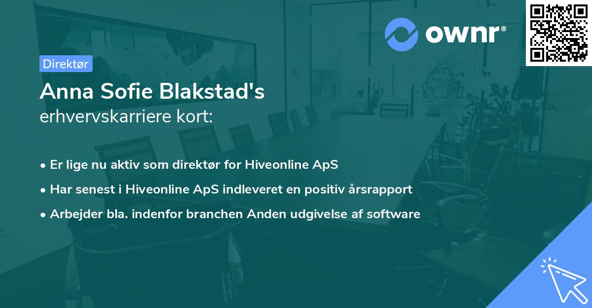 Anna Sofie Blakstad's erhvervskarriere kort
