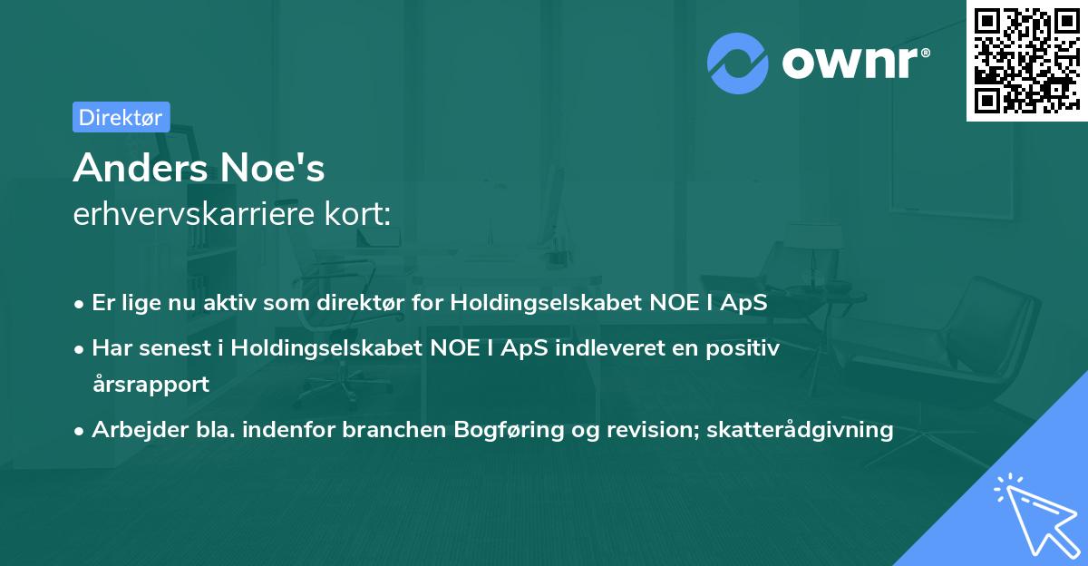 Anders Noe's erhvervskarriere kort