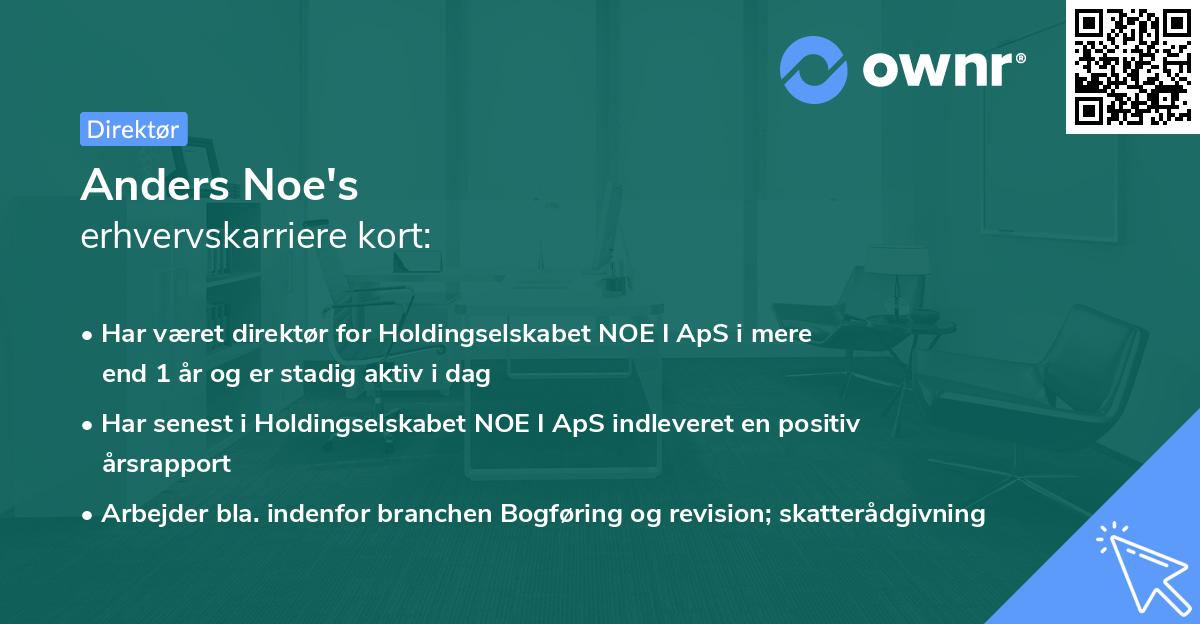Anders Noe's erhvervskarriere kort