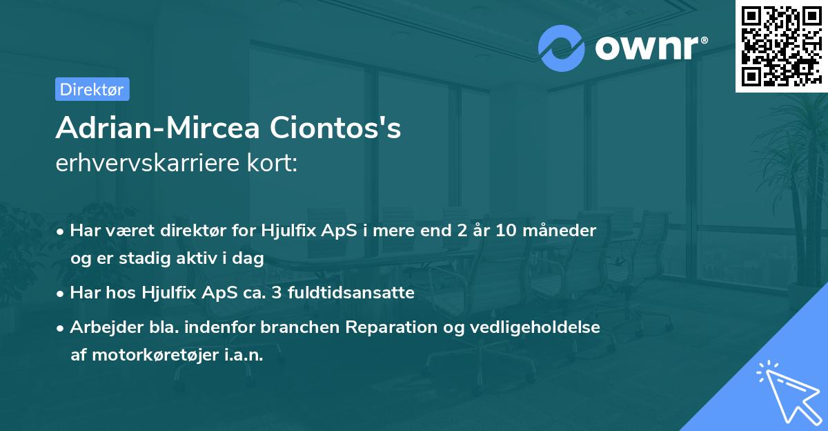 Adrian-Mircea Ciontos's erhvervskarriere kort