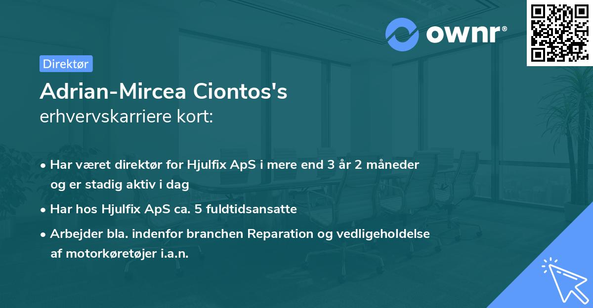 Adrian-Mircea Ciontos's erhvervskarriere kort