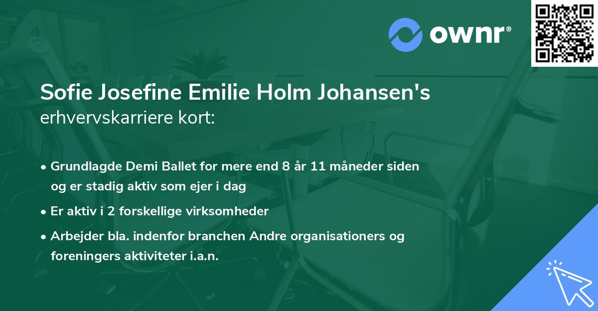 Sofie Josefine Emilie Holm Johansen's erhvervskarriere kort