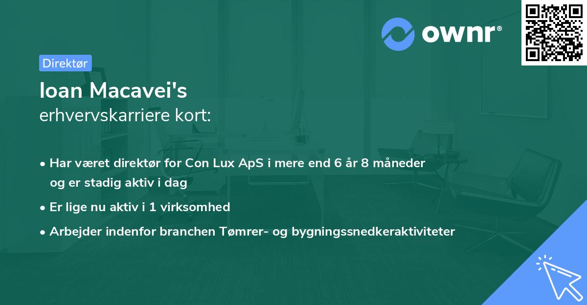 Ioan Macavei's erhvervskarriere kort