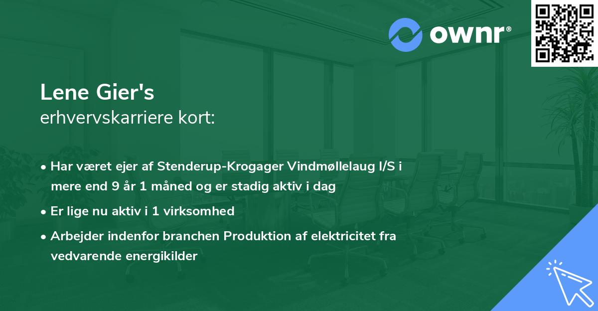 Lene Gier's erhvervskarriere kort