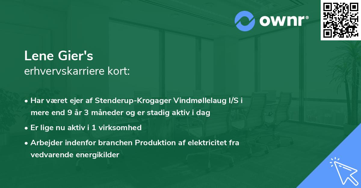 Lene Gier's erhvervskarriere kort