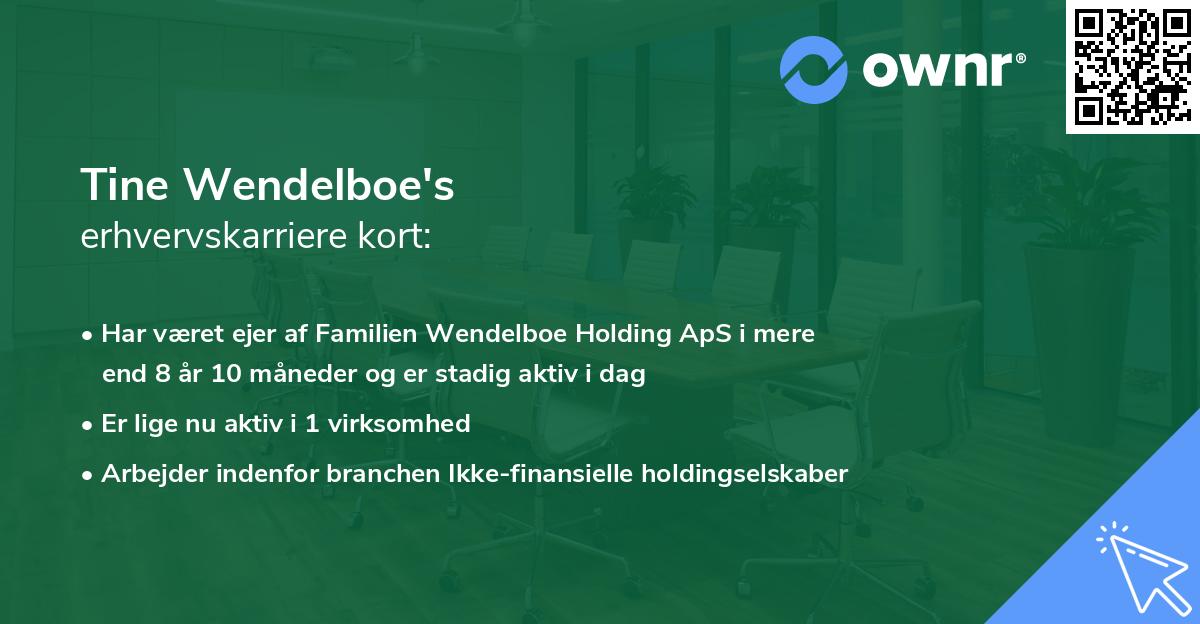 Tine Wendelboe's erhvervskarriere kort