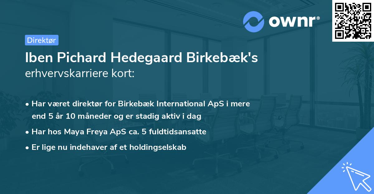 Iben Pichard Hedegaard Birkebæk's erhvervskarriere kort