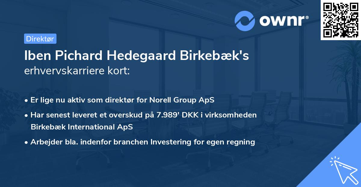 Iben Pichard Hedegaard Birkebæk's erhvervskarriere kort