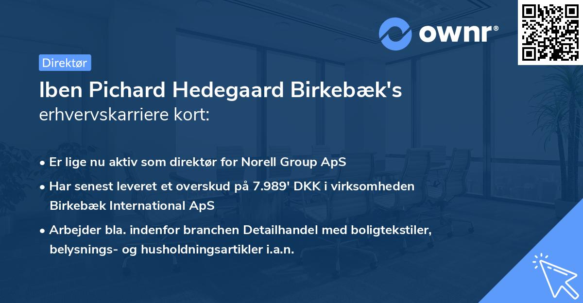 Iben Pichard Hedegaard Birkebæk's erhvervskarriere kort