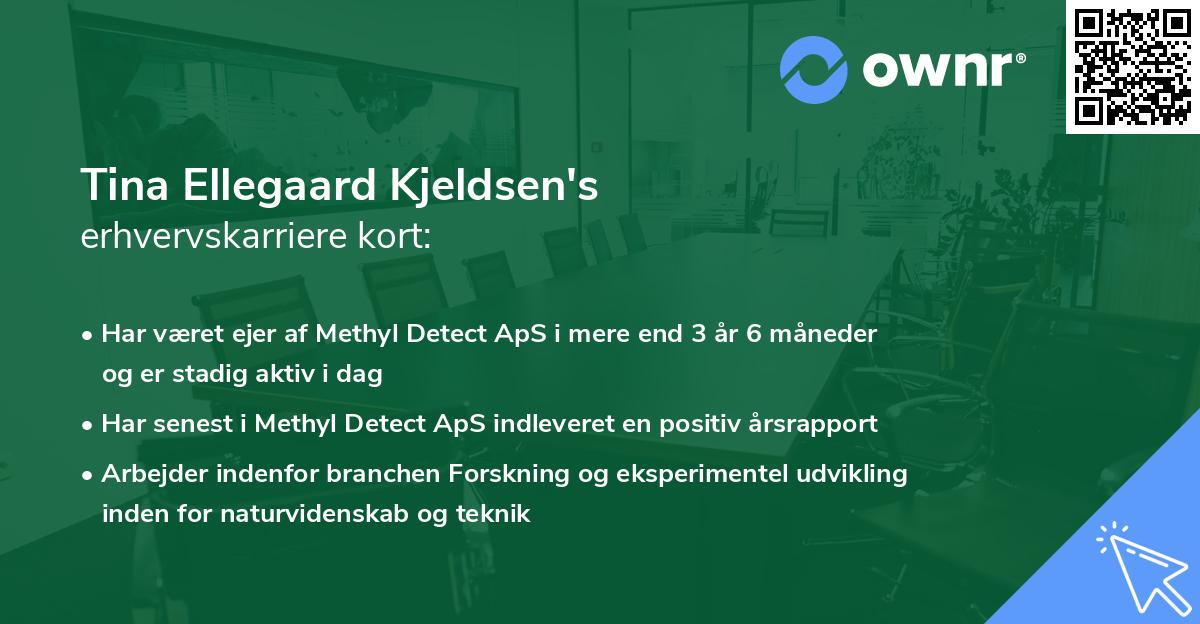 Tina Ellegaard Kjeldsen's erhvervskarriere kort