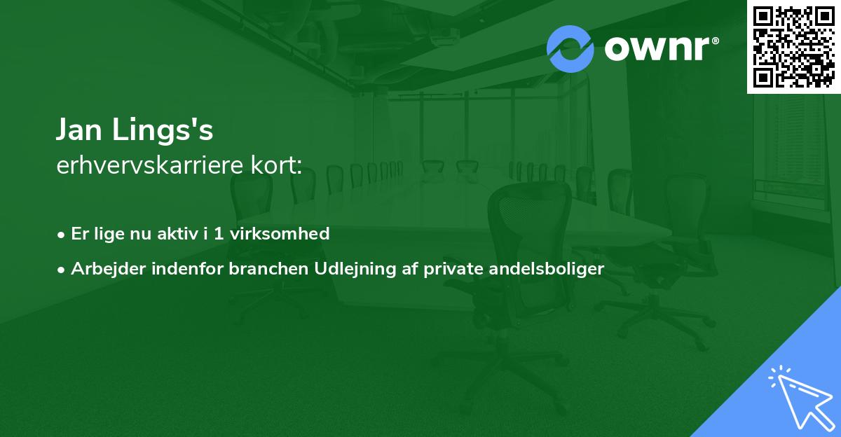 Jan Lings's erhvervskarriere kort
