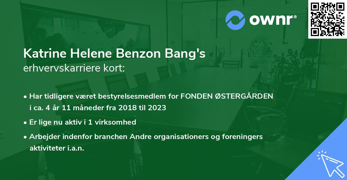 Katrine Helene Benzon Bang's erhvervskarriere kort