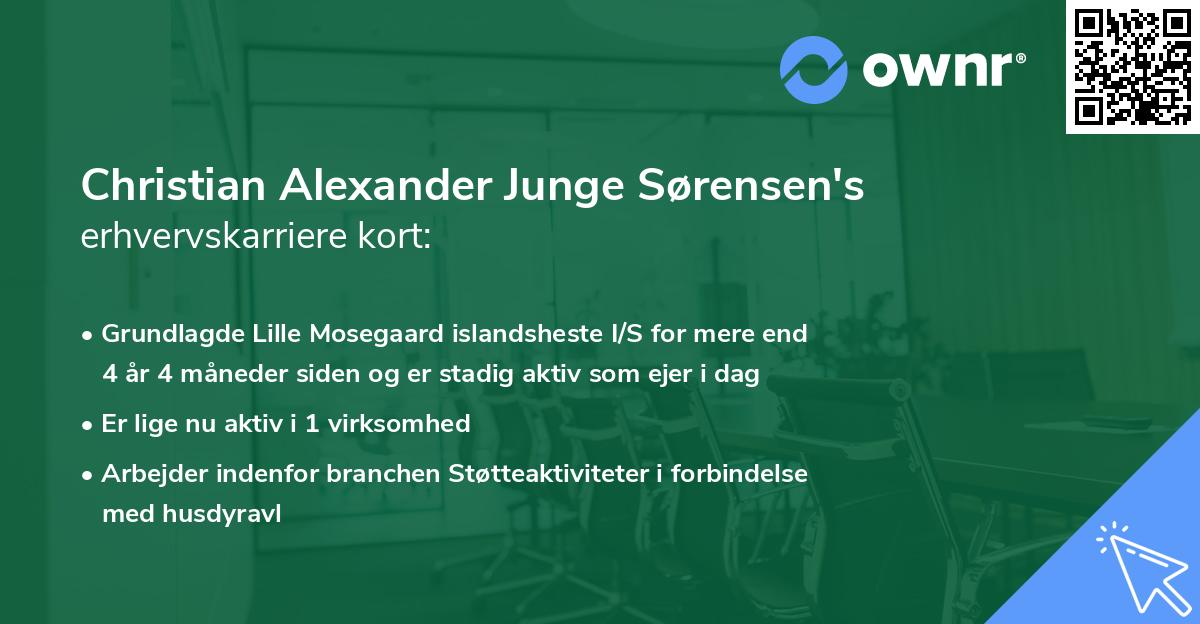 Christian Alexander Junge Sørensen's erhvervskarriere kort