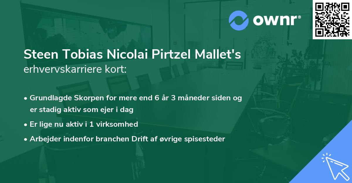 Steen Tobias Nicolai Pirtzel Mallet's erhvervskarriere kort
