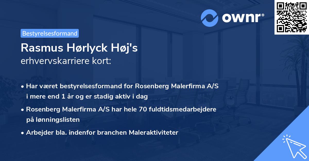 Rasmus Hørlyck Høj's erhvervskarriere kort