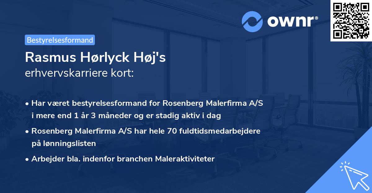 Rasmus Hørlyck Høj's erhvervskarriere kort