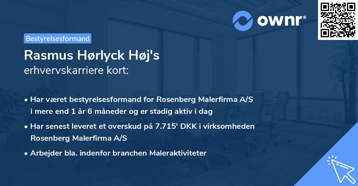Rasmus Hørlyck Høj's erhvervskarriere kort