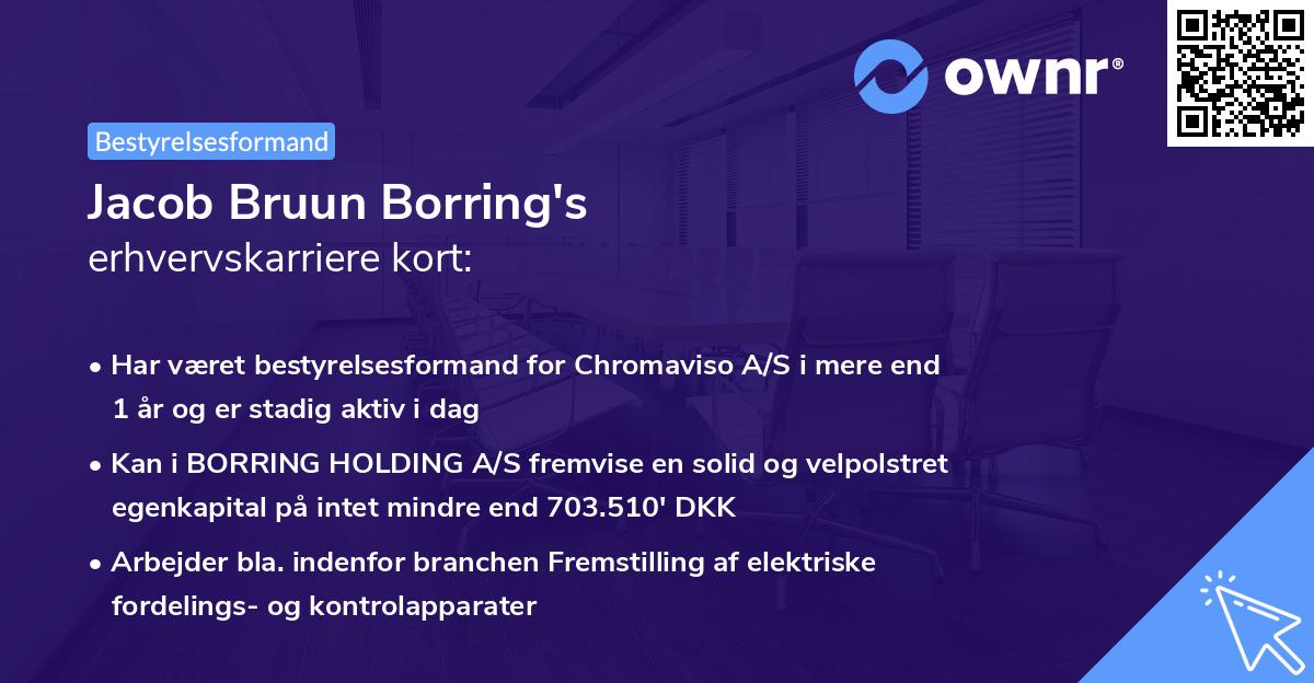 Jacob Bruun Borring's erhvervskarriere kort