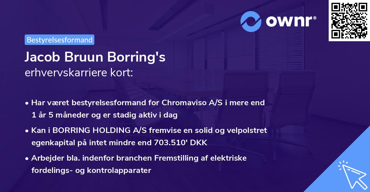 Jacob Bruun Borring's erhvervskarriere kort