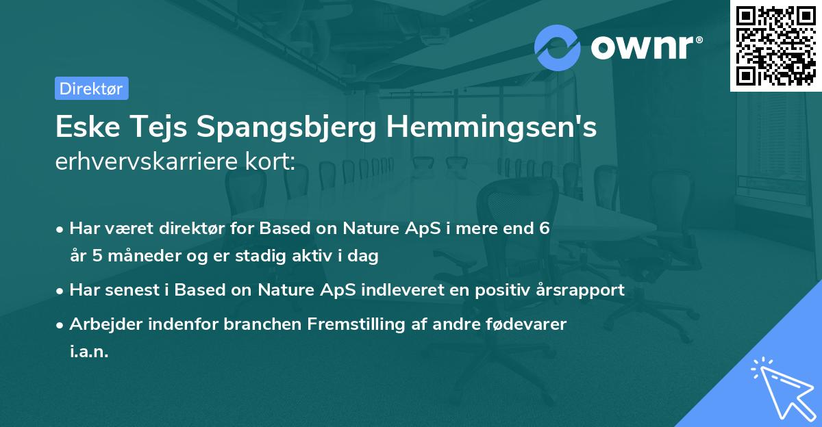 Eske Tejs Spangsbjerg Hemmingsen's erhvervskarriere kort