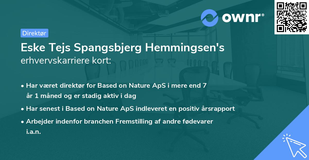 Eske Tejs Spangsbjerg Hemmingsen's erhvervskarriere kort