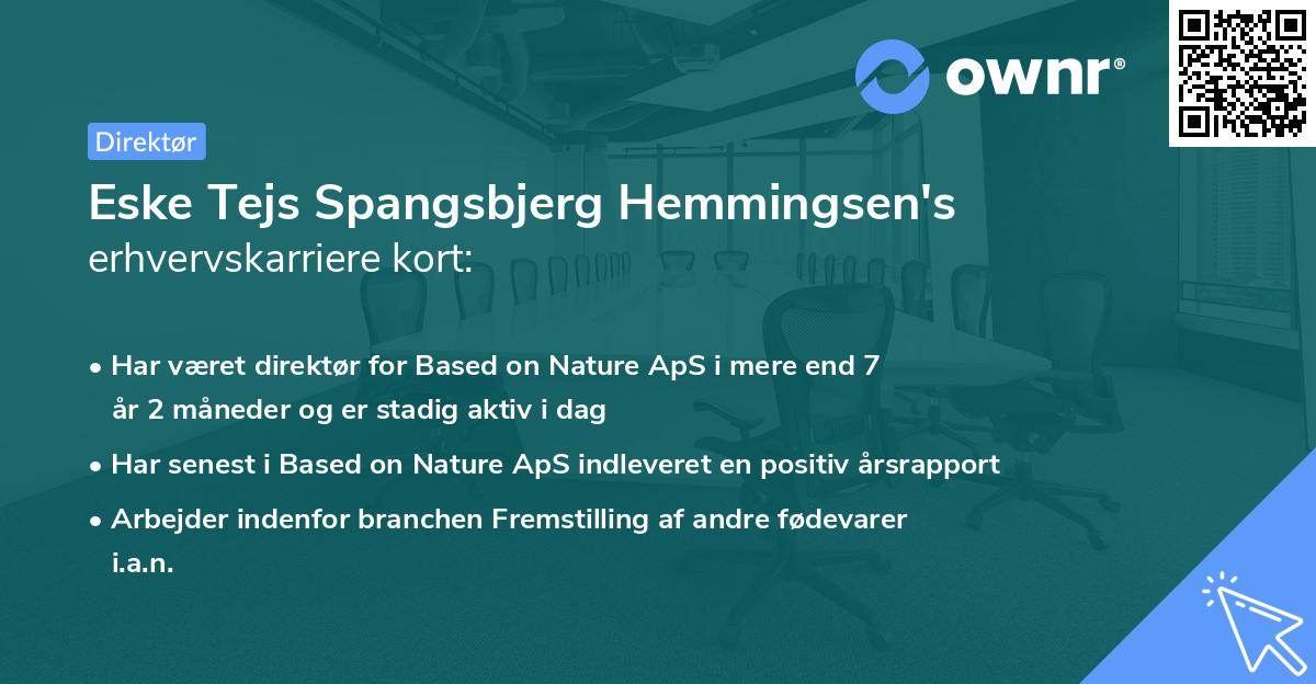 Eske Tejs Spangsbjerg Hemmingsen's erhvervskarriere kort