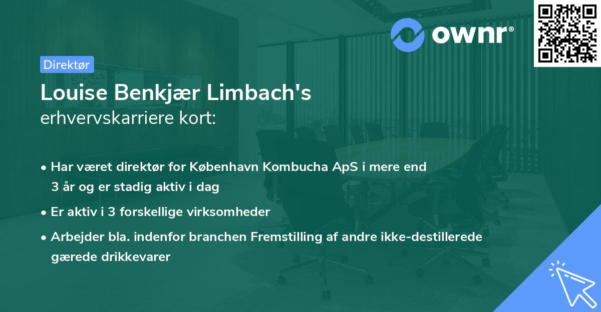 Louise Benkjær Limbach's erhvervskarriere kort