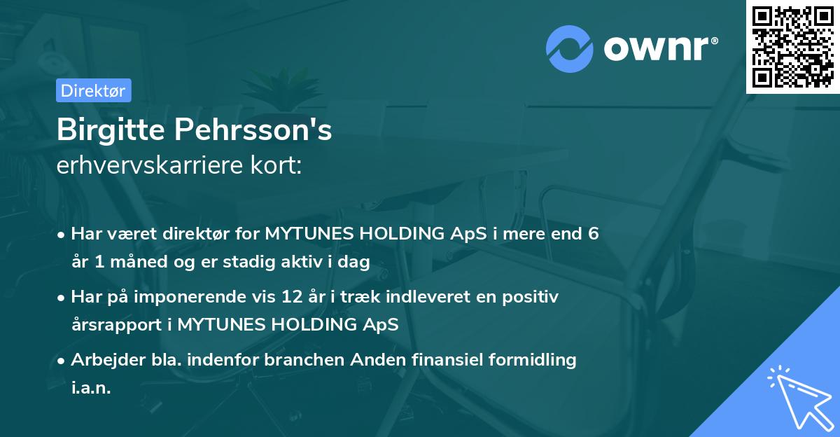 Birgitte Pehrsson's erhvervskarriere kort