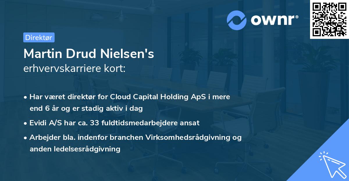 Martin Drud Nielsen's erhvervskarriere kort