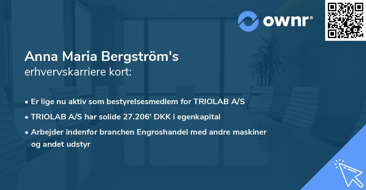 Anna Maria Bergström's erhvervskarriere kort