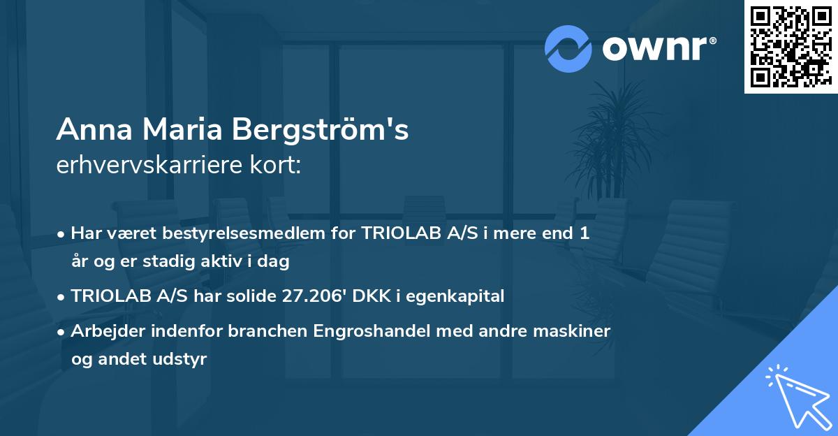 Anna Maria Bergström's erhvervskarriere kort