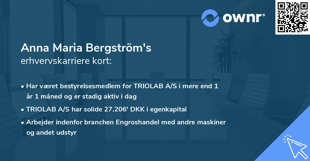 Anna Maria Bergström's erhvervskarriere kort