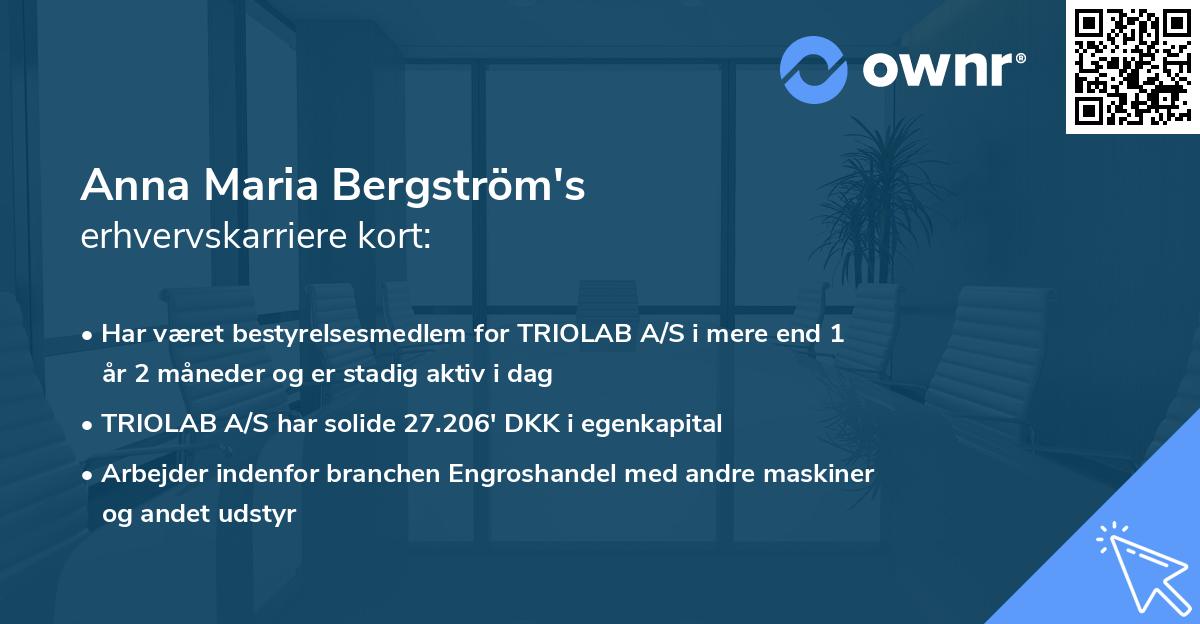 Anna Maria Bergström's erhvervskarriere kort