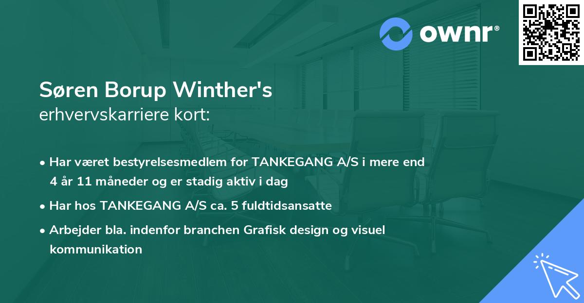 Søren Borup Winther's erhvervskarriere kort