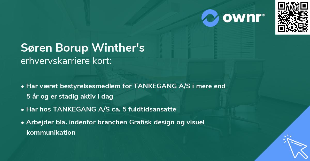 Søren Borup Winther's erhvervskarriere kort