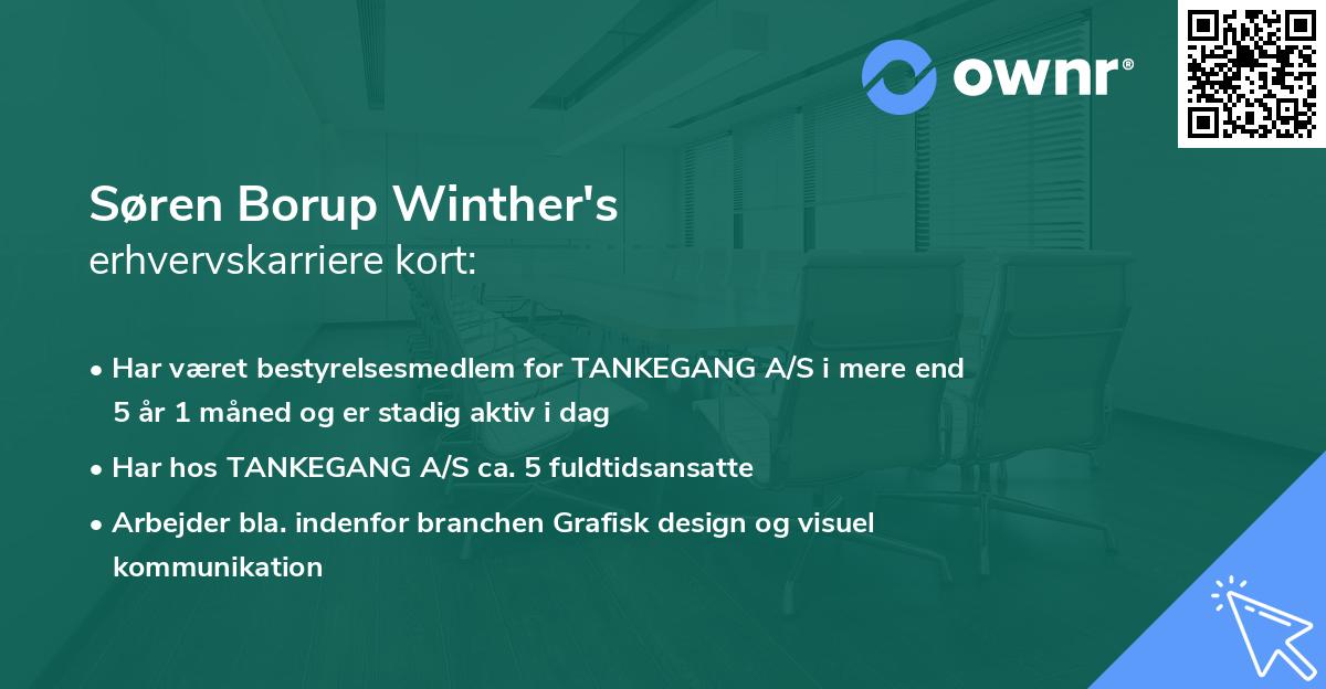 Søren Borup Winther's erhvervskarriere kort