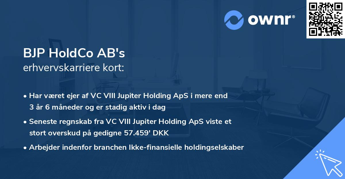 BJP HoldCo AB's erhvervskarriere kort