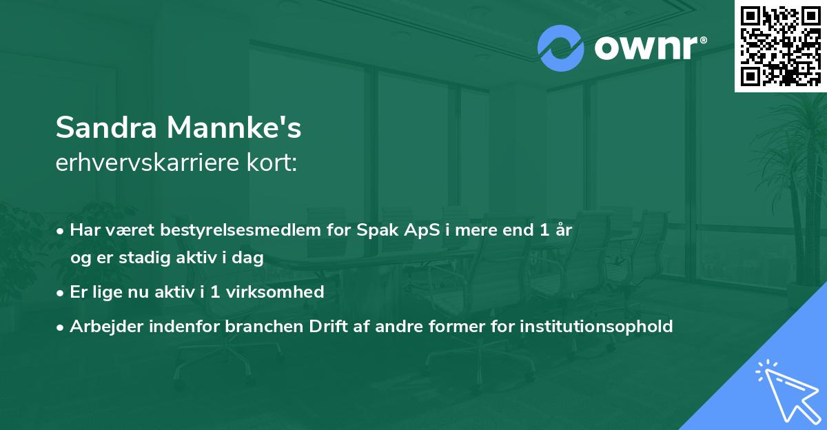 Sandra Mannke's erhvervskarriere kort