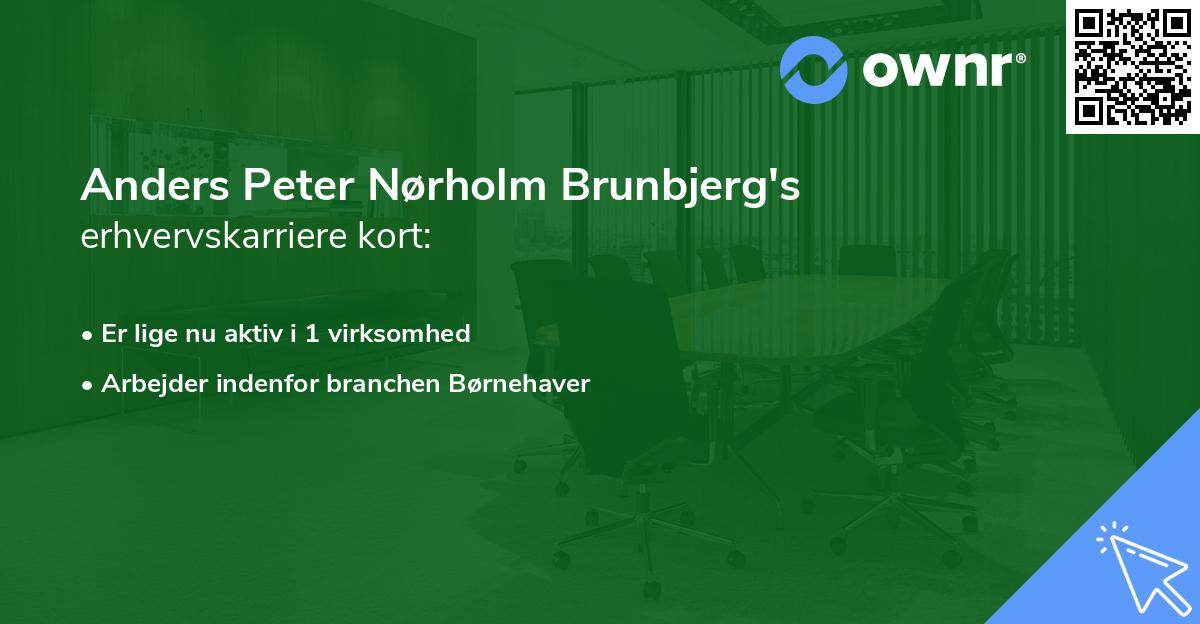 Anders Peter Nørholm Brunbjerg's erhvervskarriere kort