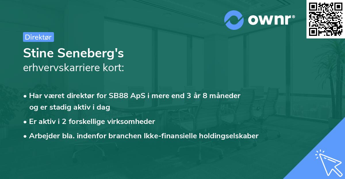 Stine Seneberg's erhvervskarriere kort