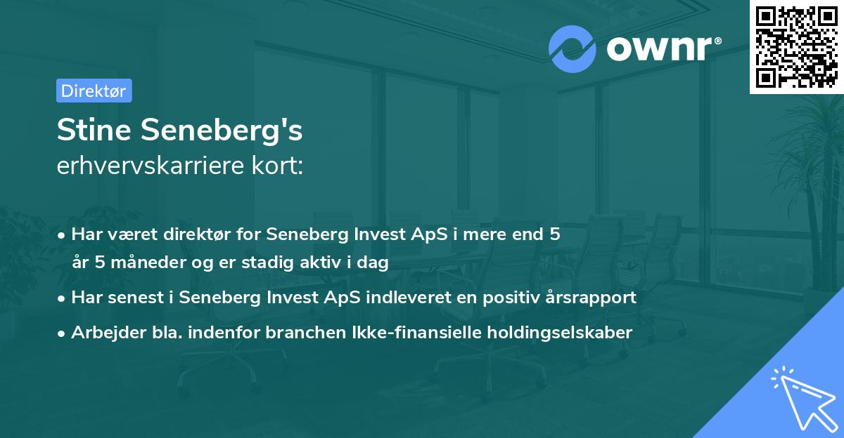 Stine Seneberg's erhvervskarriere kort
