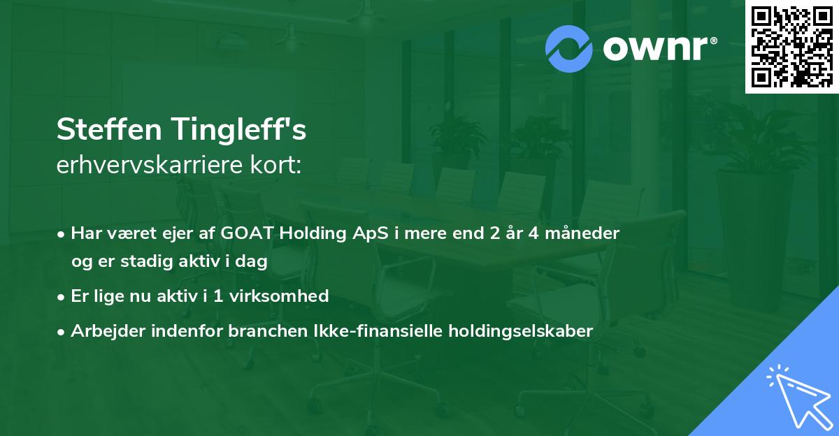 Steffen Tingleff's erhvervskarriere kort