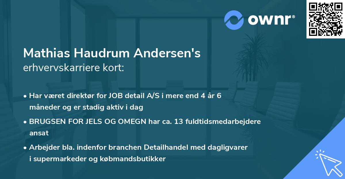 Mathias Haudrum Andersen's erhvervskarriere kort